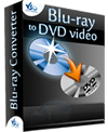 Blu-ray to DVD